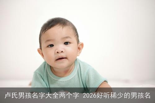 卢氏男孩名字大全两个字 2026好听稀少的男孩名