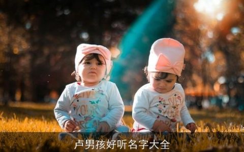 卢男孩好听名字大全