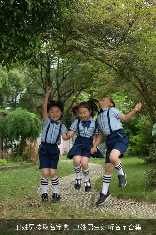 卫姓男孩取名宝典 卫姓男生好听名字合集