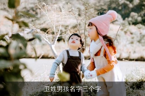 卫姓男孩名字三个字