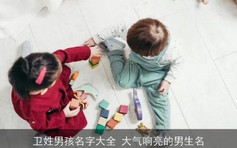 卫姓男孩名字大全 大气响亮的男生名