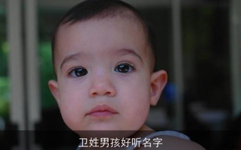 卫姓男孩好听名字
