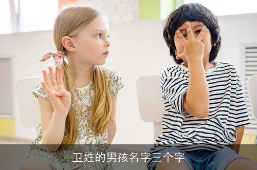 卫姓的男孩名字三个字
