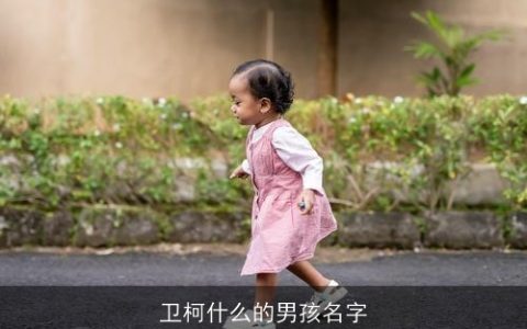 卫柯什么的男孩名字