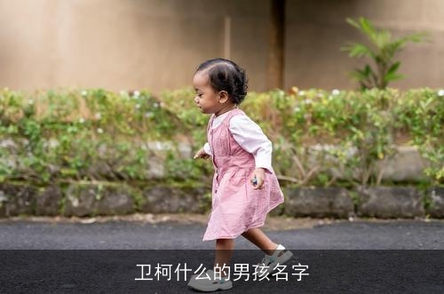 卫柯什么的男孩名字
