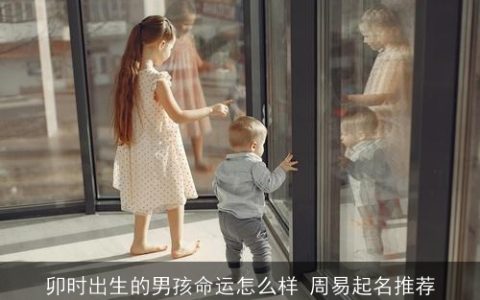 卯时出生的男孩命运怎么样 周易起名推荐