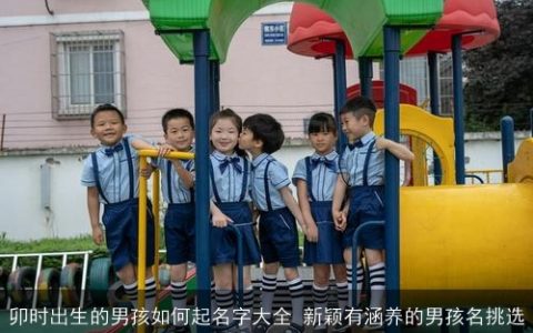 卯时出生的男孩如何起名字大全 新颖有涵养的男孩名挑选