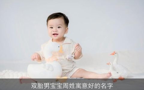 双胎男宝宝周姓寓意好的名字