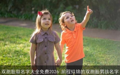 双胞胎取名字大全免费2026 前程似锦的双胞胎男孩名字
