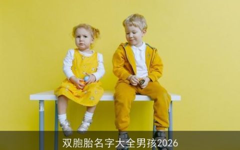 双胞胎名字大全男孩2026