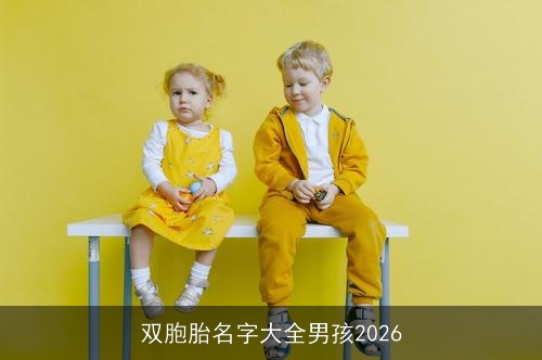 双胞胎名字大全男孩2026