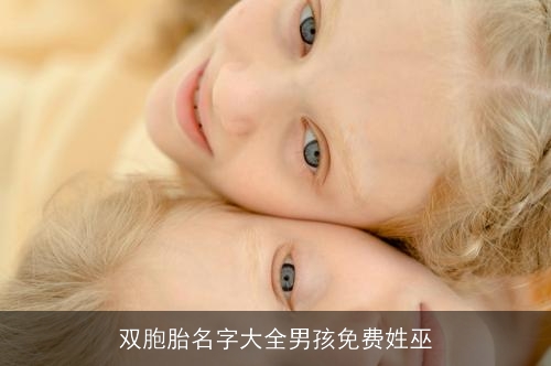 双胞胎名字大全男孩免费姓巫