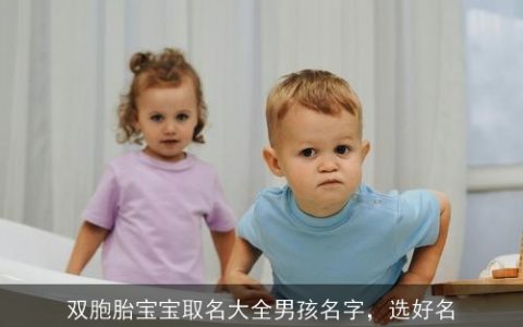 双胞胎宝宝取名大全男孩名字，选好名