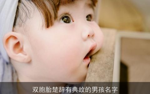 双胞胎楚辞有典故的男孩名字