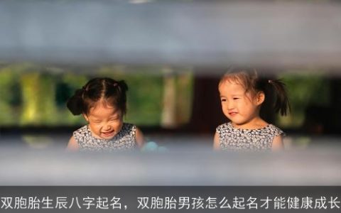 双胞胎生辰八字起名，双胞胎男孩怎么起名才能健康成长