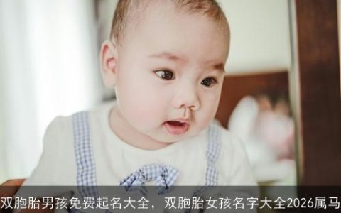 双胞胎男孩免费起名大全，双胞胎女孩名字大全2026属马