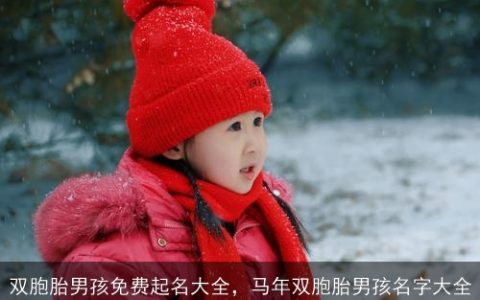 双胞胎男孩免费起名大全，马年双胞胎男孩名字大全