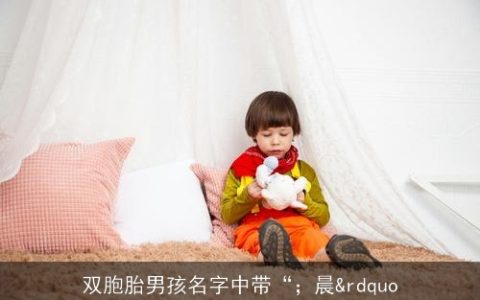 双胞胎男孩名字中带“；晨&rdquo