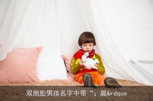 双胞胎男孩名字中带“；晨&rdquo