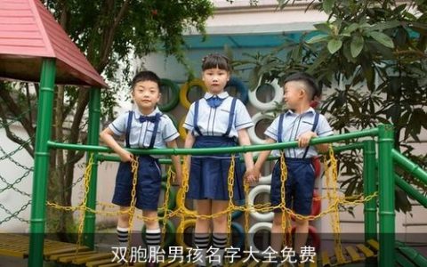 双胞胎男孩名字大全免费