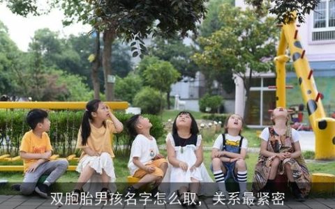 双胞胎男孩名字怎么取，关系最紧密