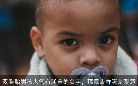 双胞胎男孩大气有涵养的名字，蕴意吉祥满是爱意