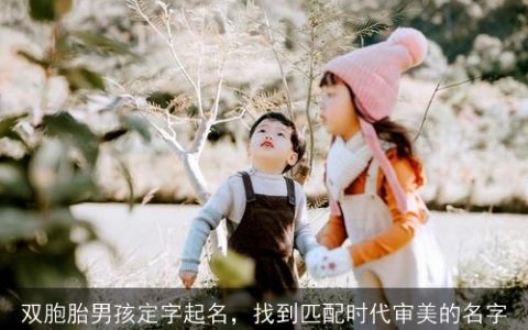 双胞胎男孩定字起名，找到匹配时代审美的名字
