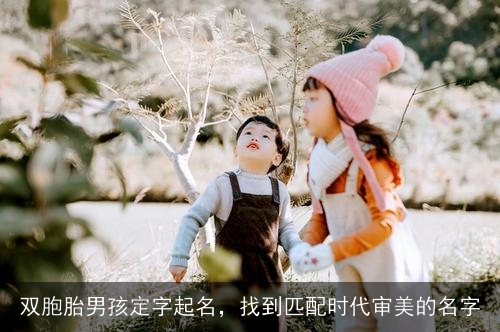 双胞胎男孩定字起名，找到匹配时代审美的名字
