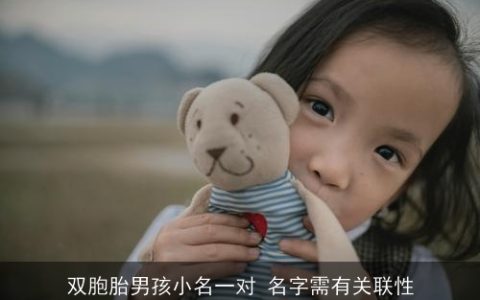 双胞胎男孩小名一对 名字需有关联性