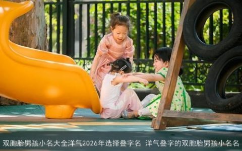 双胞胎男孩小名大全洋气2026年选择叠字名 洋气叠字的双胞胎男孩小名名