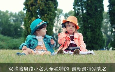 双胞胎男孩小名大全独特的 最新最特别乳名