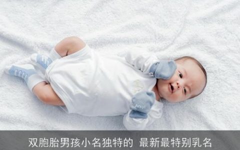 双胞胎男孩小名独特的 最新最特别乳名