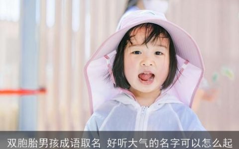 双胞胎男孩成语取名 好听大气的名字可以怎么起