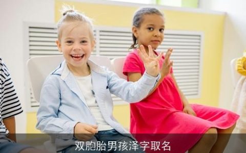 双胞胎男孩泽字取名