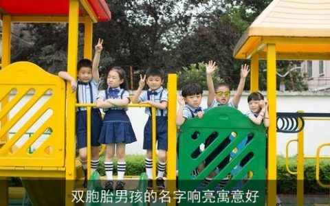 双胞胎男孩的名字响亮寓意好