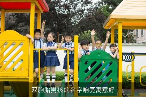 双胞胎男孩的名字响亮寓意好