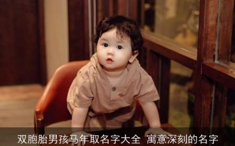 双胞胎男孩马年取名字大全 寓意深刻的名字
