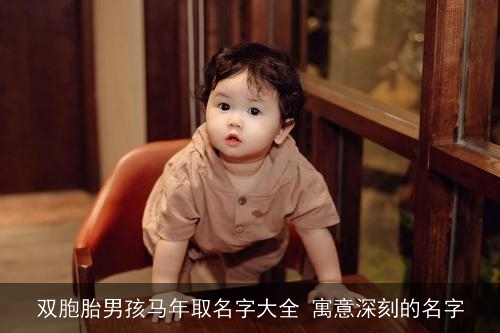 双胞胎男孩马年取名字大全 寓意深刻的名字