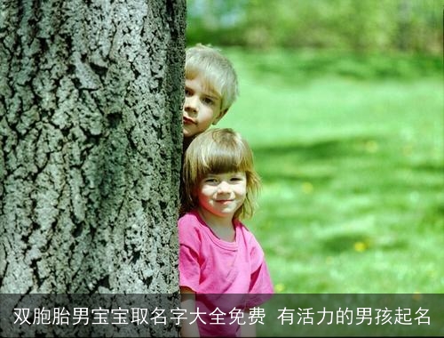 双胞胎男宝宝取名字大全免费 有活力的男孩起名