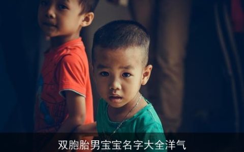 双胞胎男宝宝名字大全洋气