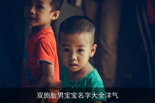 双胞胎男宝宝名字大全洋气