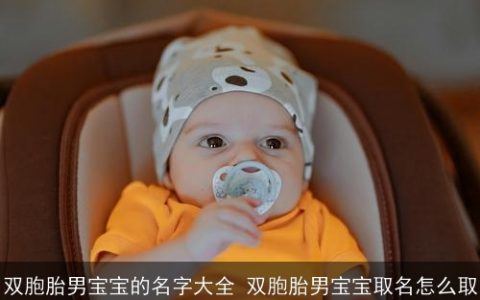 双胞胎男宝宝的名字大全 双胞胎男宝宝取名怎么取