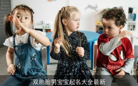 双胞胎男宝宝起名大全最新