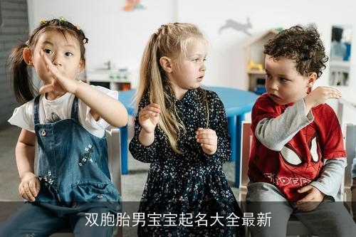 双胞胎男宝宝起名大全最新