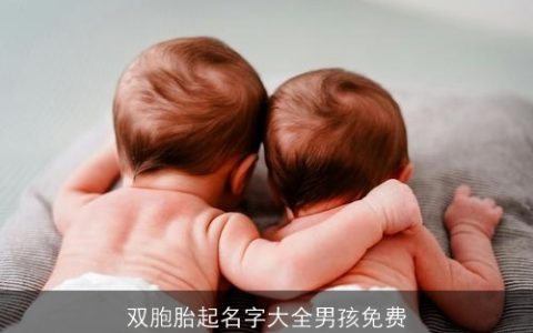 双胞胎起名字大全男孩免费