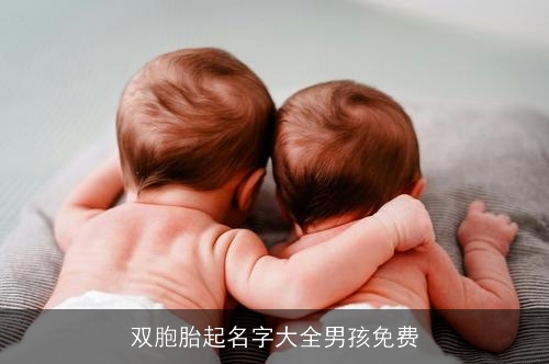 双胞胎起名字大全男孩免费