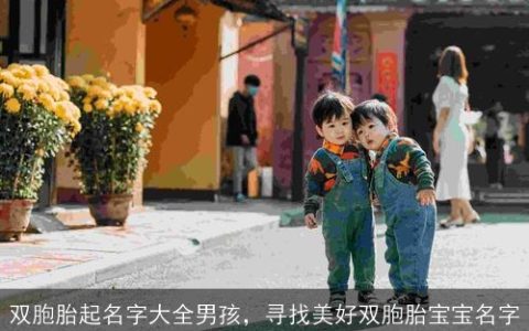 双胞胎起名字大全男孩，寻找美好双胞胎宝宝名字