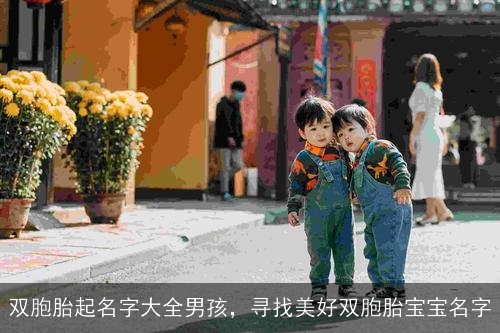 双胞胎起名字大全男孩，寻找美好双胞胎宝宝名字