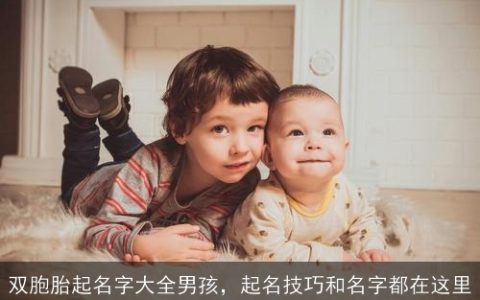 双胞胎起名字大全男孩，起名技巧和名字都在这里