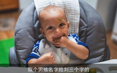 取个男孩名字姓刘三个字的